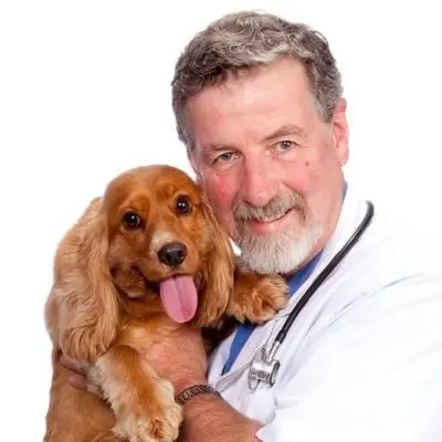 Dr. Ian Billinghurst